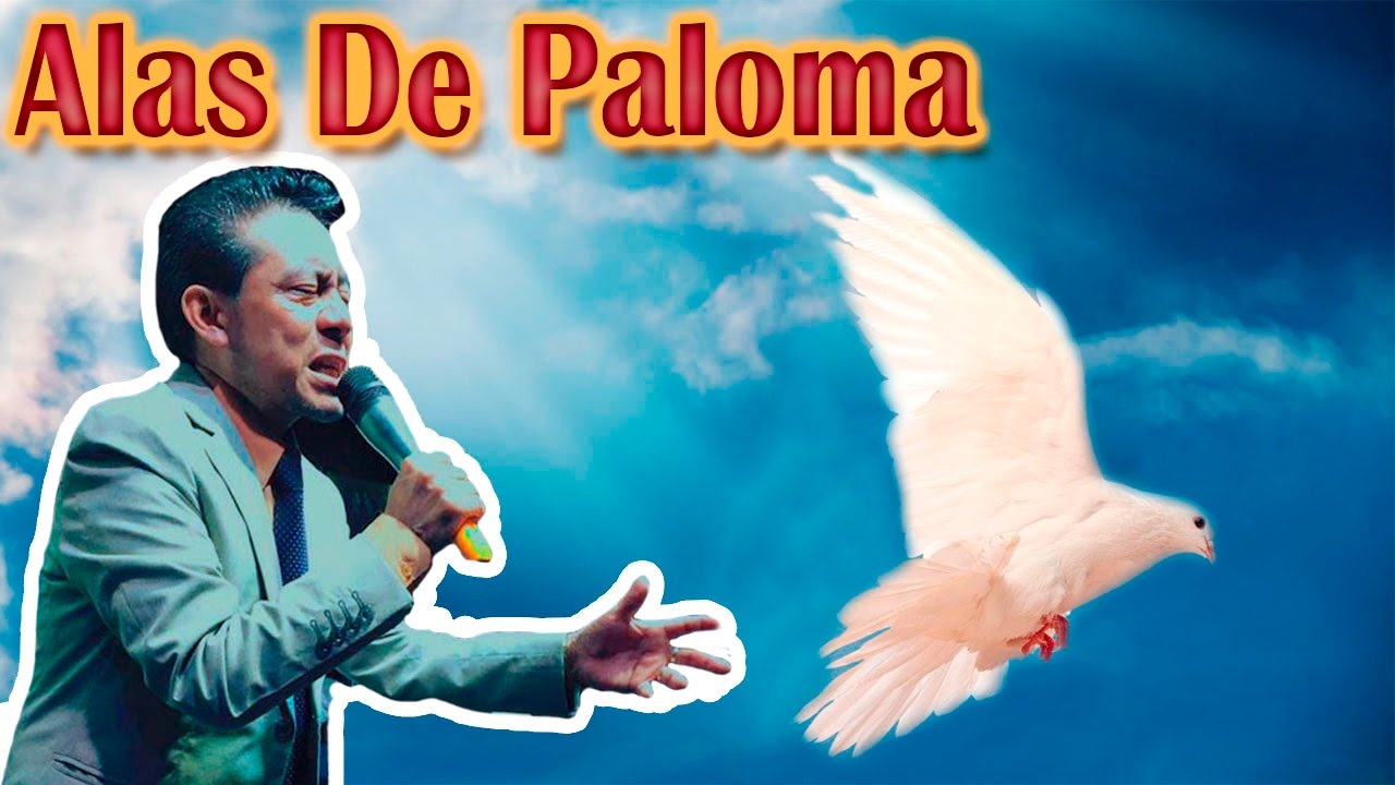 quien me diera alas como de paloma biblia