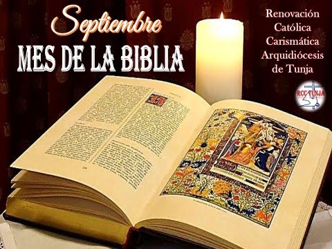 timoteo 3 16 biblia catolica