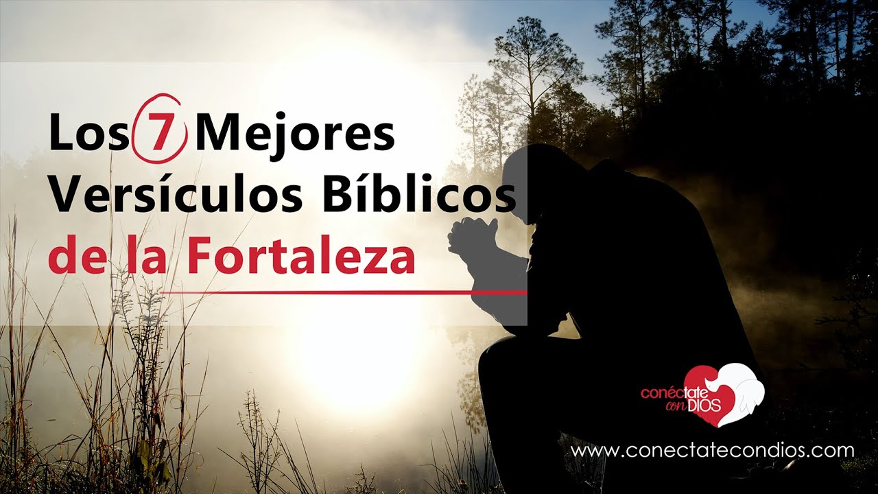 versiculos de la biblia catolica de fortaleza