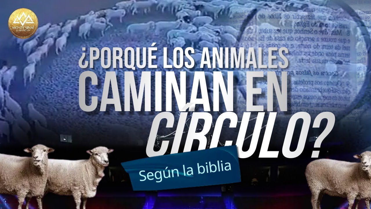 animales caminando en circulos biblia versiculos