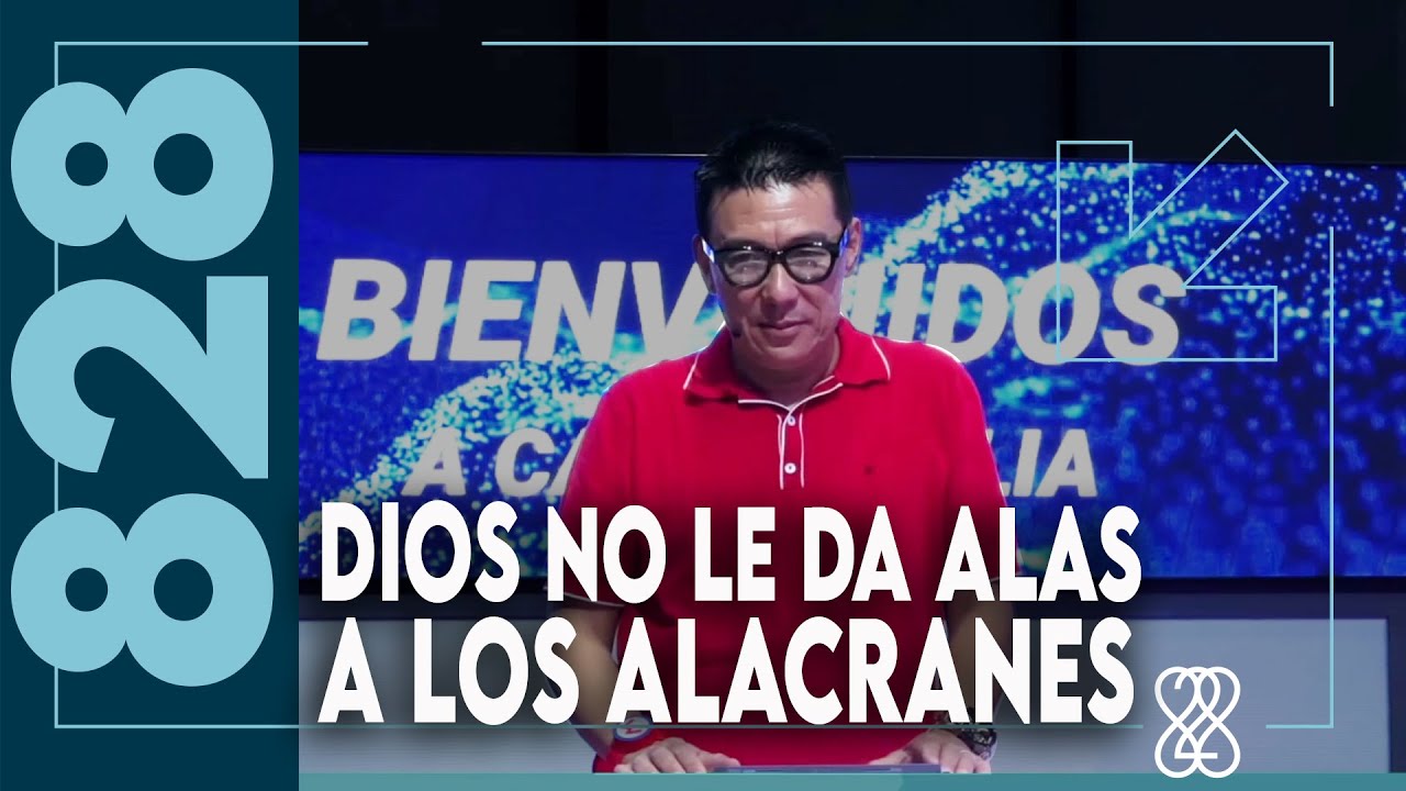 dios no le da alas a los alacranes biblia