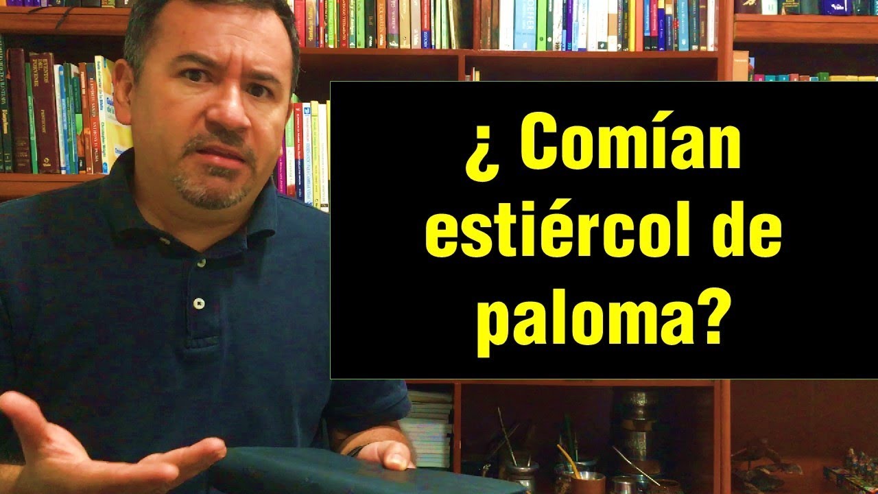 estiercol de paloma en la biblia