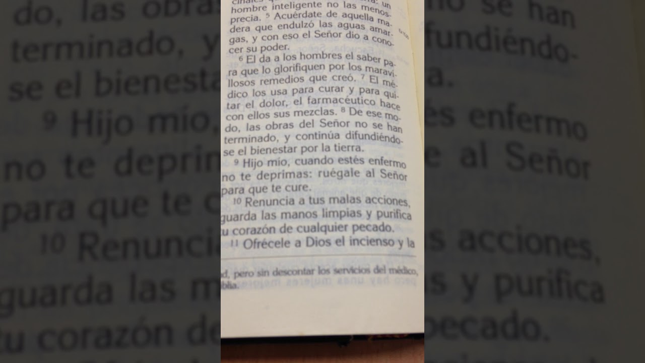 las plantas son medicina biblia