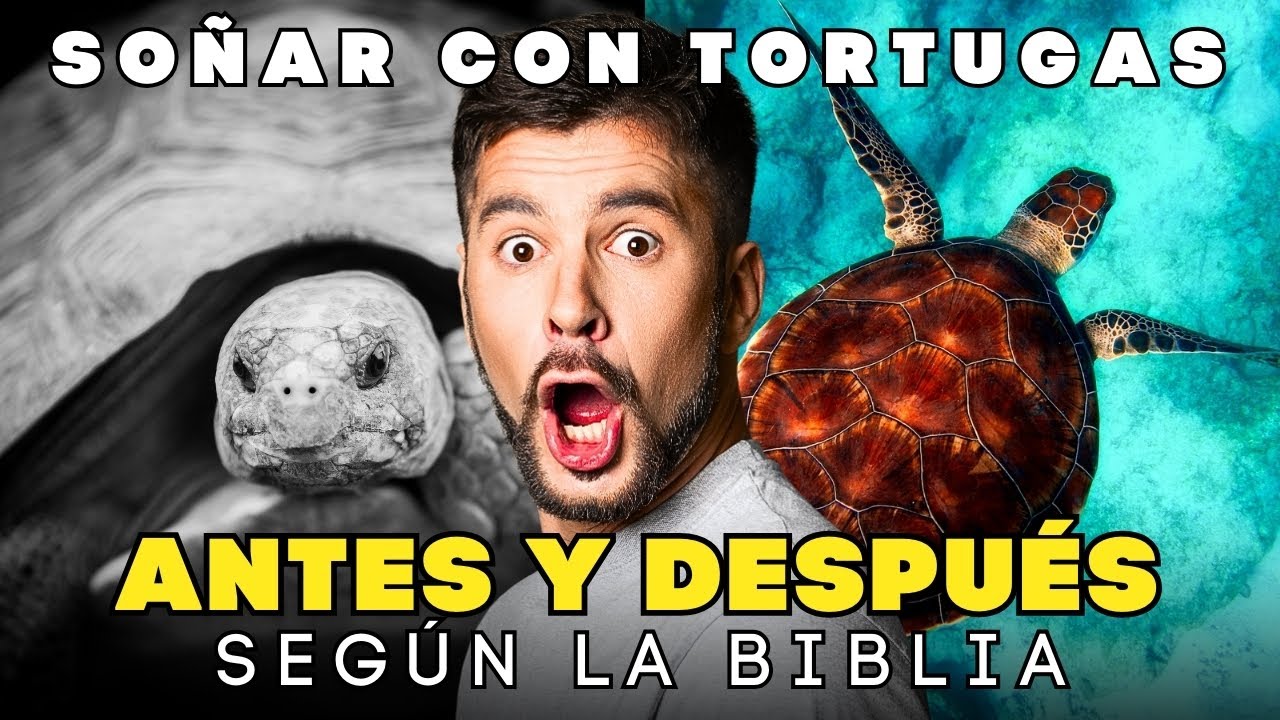 soñar con tortugas segun la biblia